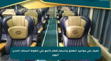 تعرف على مواعيد انطلاق وأسعار قطار تالجو على خطوط السكك الحديد اليوم
